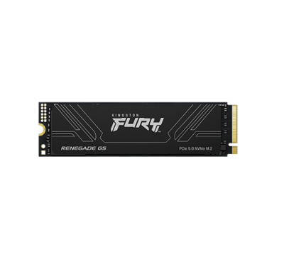 Disco Ssd M.2 Kingston Fury Renegade 1000 Gb Nvme Gen5  Pcie 5.0 (9481)